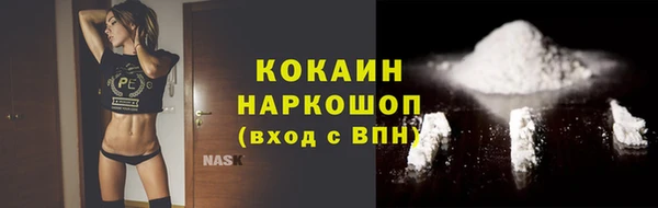 гашик Мегион
