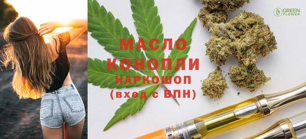 гашик Мегион