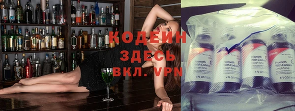 гашик Мегион
