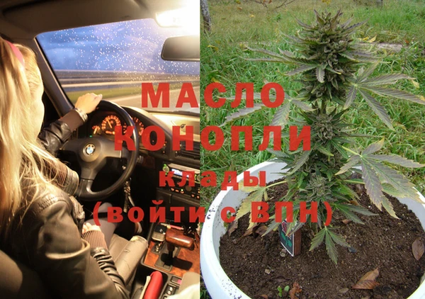 гашик Мегион