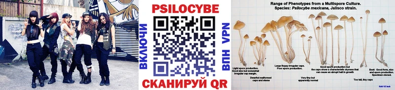 Псилоцибиновые грибы ЛСД  МЕГА как зайти  Венёв 